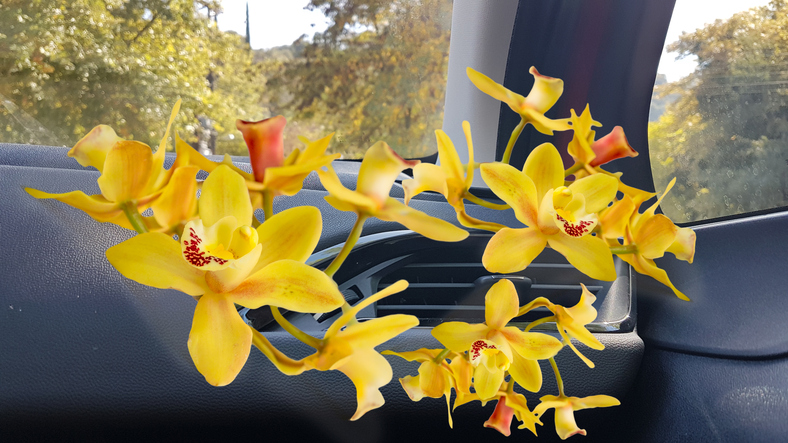 air conditioning in the car with animated yellow flowers coming out of it